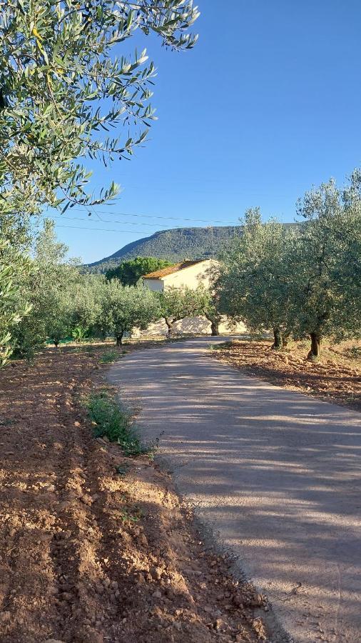 Casa Rural Cal Marti El Pla de Manlleu Luaran gambar