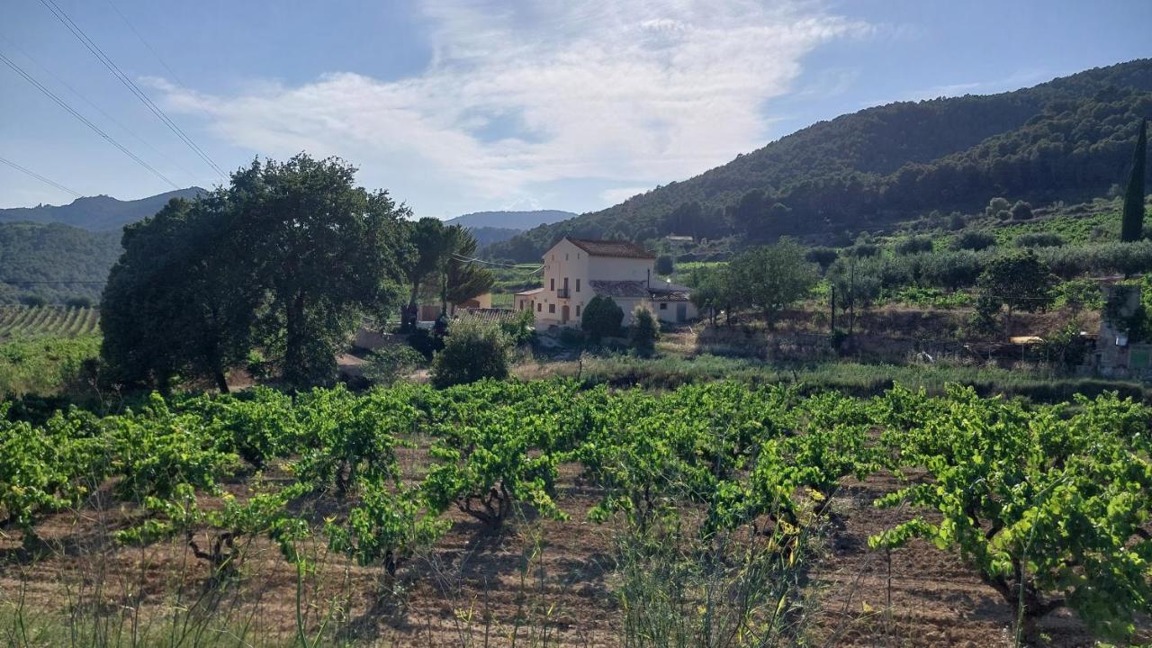 Casa Rural Cal Marti El Pla de Manlleu Luaran gambar