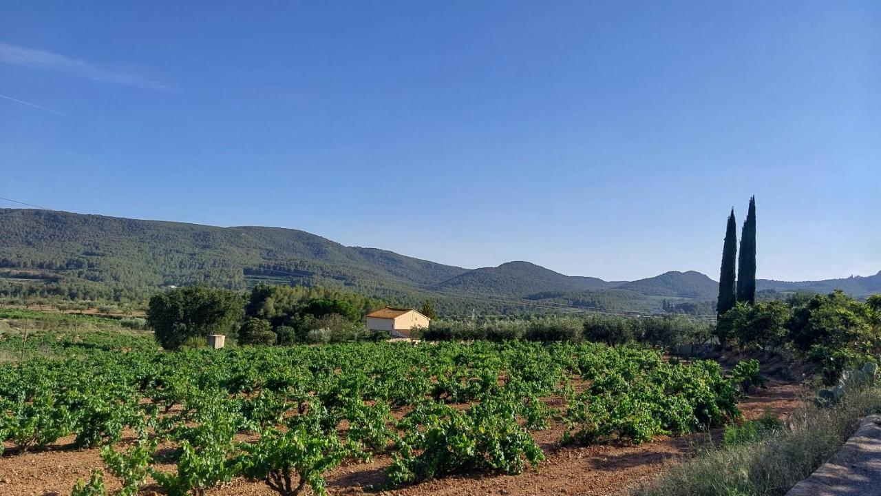 Casa Rural Cal Marti El Pla de Manlleu Luaran gambar