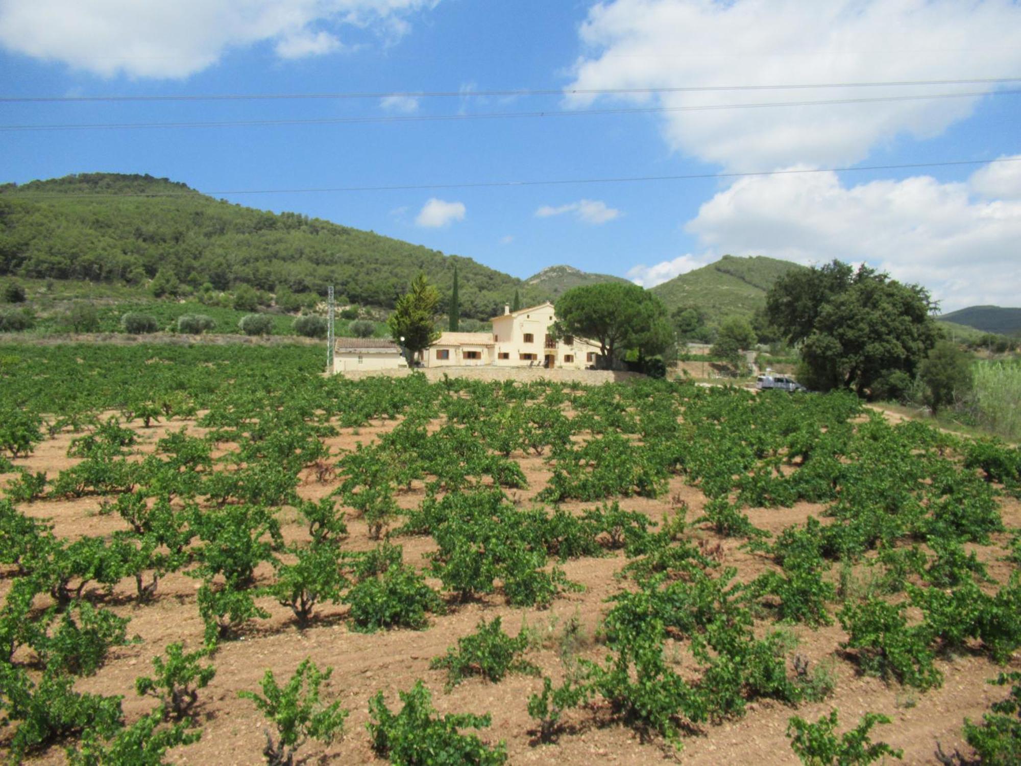 Casa Rural Cal Marti El Pla de Manlleu Luaran gambar